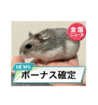 うちのハムチャン（個別スタンプ：23）