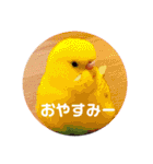 チームユーモラス（個別スタンプ：32）
