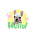 かいじゅうこじろ（個別スタンプ：1）
