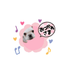 かいじゅうこじろ（個別スタンプ：5）