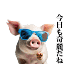 イケメンのブタ（個別スタンプ：9）