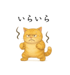 サクッと家族連絡（個別スタンプ：11）