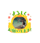 みおしゅん1（個別スタンプ：16）