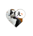 Ongaisimasu（個別スタンプ：5）