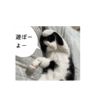 Ongaisimasu（個別スタンプ：6）