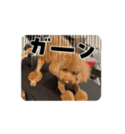 もかくぅ♡すたんぷ（個別スタンプ：1）