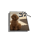 もかくぅ♡すたんぷ（個別スタンプ：2）