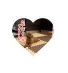 もかくぅ♡すたんぷ（個別スタンプ：6）