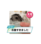 もかくぅ♡すたんぷ（個別スタンプ：7）