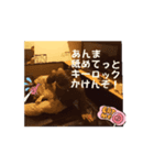 健全なるp(プロレス技)活スタンプ固め技編（個別スタンプ：2）