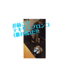 健全なるp(プロレス技)活スタンプ固め技編（個別スタンプ：3）