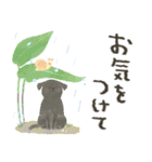 毎日つかえる♡わんワンダフル（個別スタンプ：26）