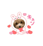 動くゆずたんスタンプ（個別スタンプ：3）