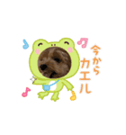 動くゆずたんスタンプ（個別スタンプ：8）