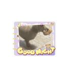 moving Dachshund（個別スタンプ：6）