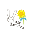 父の日 夏  本音で生きるウサギ（個別スタンプ：20）
