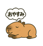 おっとりカピバラのやさしいスタンプ（個別スタンプ：2）