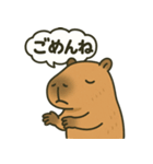 おっとりカピバラのやさしいスタンプ（個別スタンプ：4）