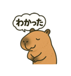 おっとりカピバラのやさしいスタンプ（個別スタンプ：7）