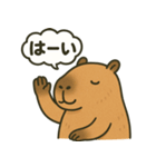 おっとりカピバラのやさしいスタンプ（個別スタンプ：10）