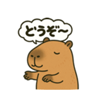 おっとりカピバラのやさしいスタンプ（個別スタンプ：12）