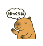 おっとりカピバラのやさしいスタンプ（個別スタンプ：17）