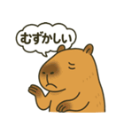 おっとりカピバラのやさしいスタンプ（個別スタンプ：18）