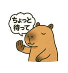おっとりカピバラのやさしいスタンプ（個別スタンプ：20）
