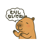 おっとりカピバラのやさしいスタンプ（個別スタンプ：25）