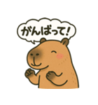 おっとりカピバラのやさしいスタンプ（個別スタンプ：26）