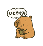 おっとりカピバラのやさしいスタンプ（個別スタンプ：29）