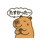 おっとりカピバラのやさしいスタンプ（個別スタンプ：30）