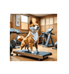 柴犬の日常11（個別スタンプ：23）