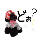 かわいいわんこ㉖黒トイプー❤毎日使える（個別スタンプ：34）