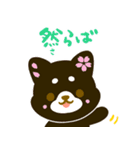 柴犬・花・漢字・和（個別スタンプ：3）