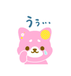 柴犬・花・漢字・和（個別スタンプ：8）
