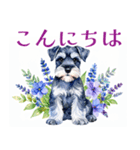 水彩スタンプミニチュア・シュナウザー（個別スタンプ：1）