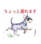 水彩スタンプミニチュア・シュナウザー（個別スタンプ：9）