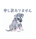 水彩スタンプミニチュア・シュナウザー（個別スタンプ：10）