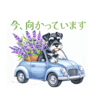水彩スタンプミニチュア・シュナウザー（個別スタンプ：14）