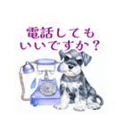 水彩スタンプミニチュア・シュナウザー（個別スタンプ：15）