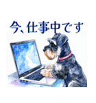 水彩スタンプミニチュア・シュナウザー（個別スタンプ：16）