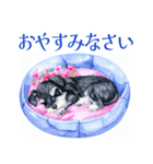 水彩スタンプミニチュア・シュナウザー（個別スタンプ：17）