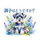 水彩スタンプミニチュア・シュナウザー（個別スタンプ：19）