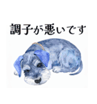 水彩スタンプミニチュア・シュナウザー（個別スタンプ：20）
