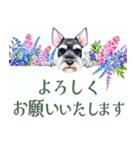 水彩スタンプミニチュア・シュナウザー（個別スタンプ：23）