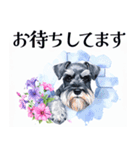 水彩スタンプミニチュア・シュナウザー（個別スタンプ：28）