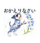 水彩スタンプミニチュア・シュナウザー（個別スタンプ：30）