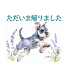 水彩スタンプミニチュア・シュナウザー（個別スタンプ：31）