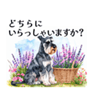 水彩スタンプミニチュア・シュナウザー（個別スタンプ：35）